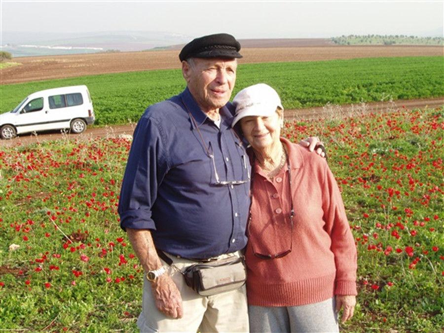 ����� ������ �����